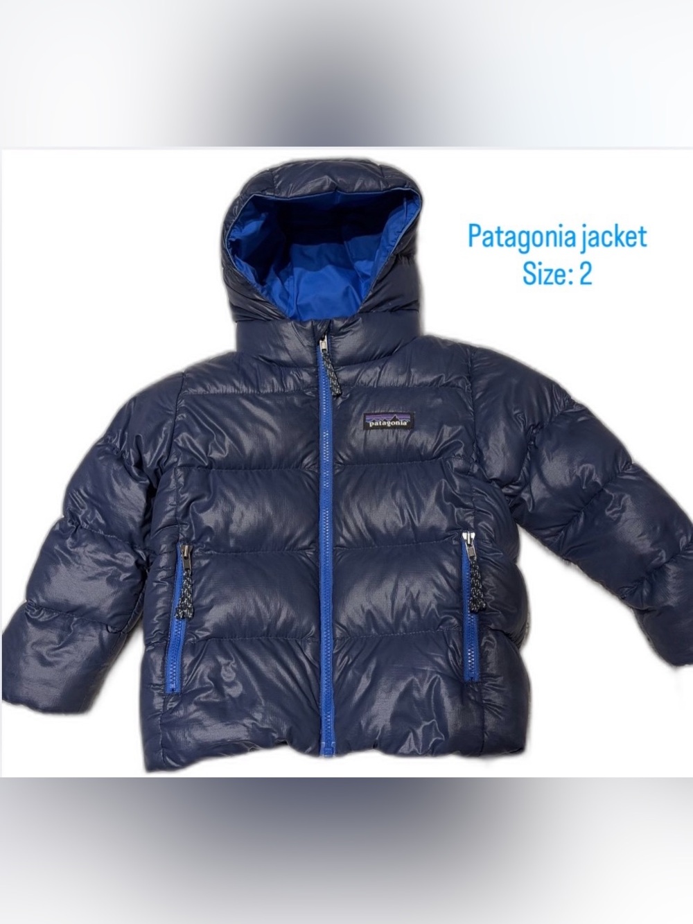 Patagonia Kids Navy & Bright Blue Hooded Puffer Jacket